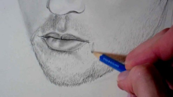 Рисование бороды карандашом