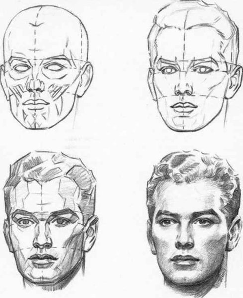 Наброски мужской головы