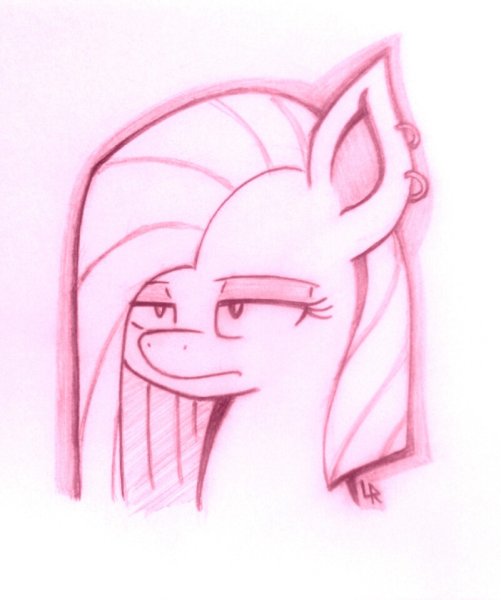 Диана Найкова пони