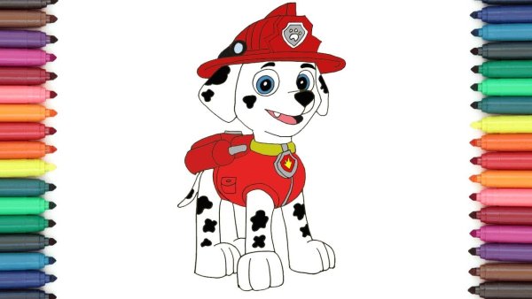 Рокки Щенячий патруль нарисовать