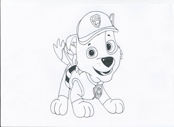Рисунок Рокки из Щенячьего патруля