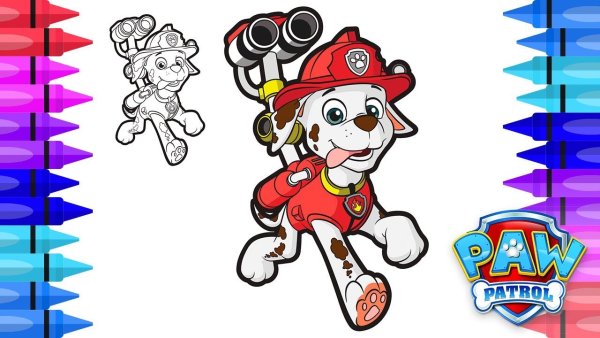 Щенячий патруль raskraska