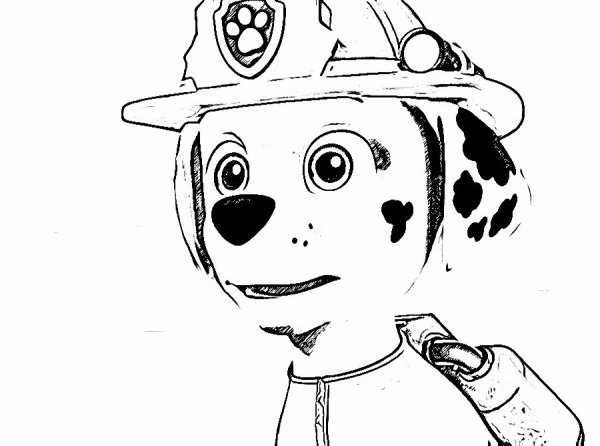 Sea Patrol Paw Patrol раскраска