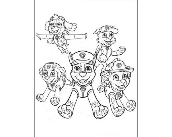 Раскраска Маршал Рокки и гонщик