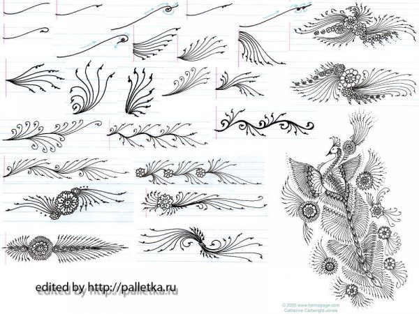 Поэтапность рисования кружева