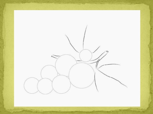 Нарисовать крыжовник карандашом поэтапно