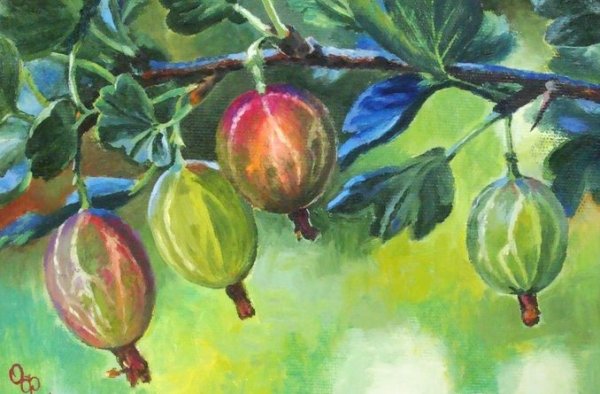 Николай Иванович крыжовник