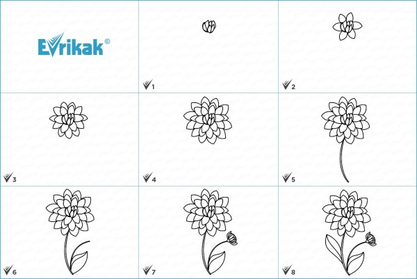 Как нарисовать георгины поэтапно