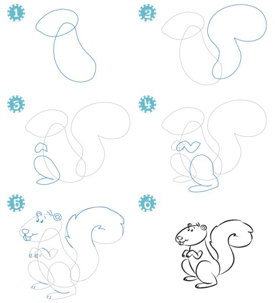 Белка рисунок поэтапно