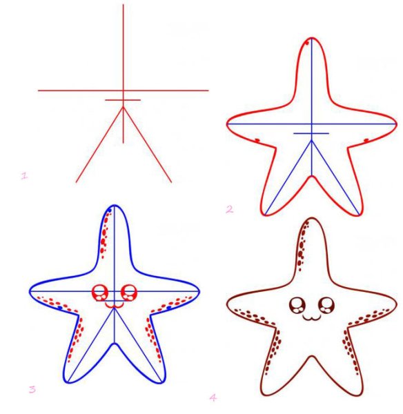 Рисуем морскую звезду