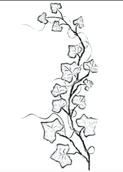 Тату вьющиеся цветы