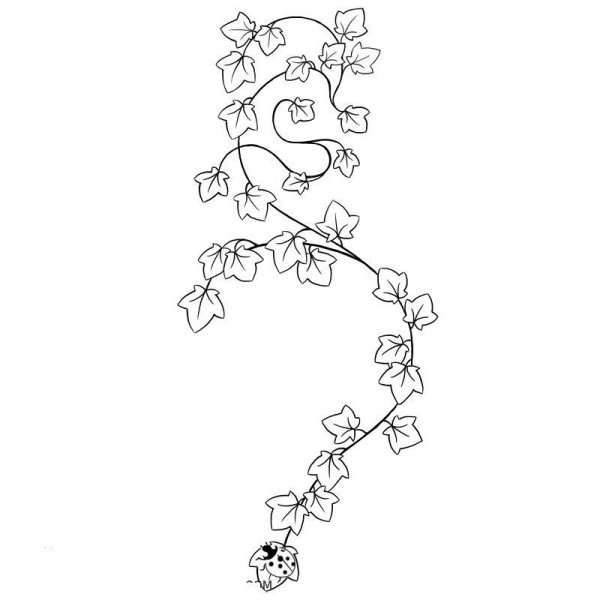 Лиана раскраска