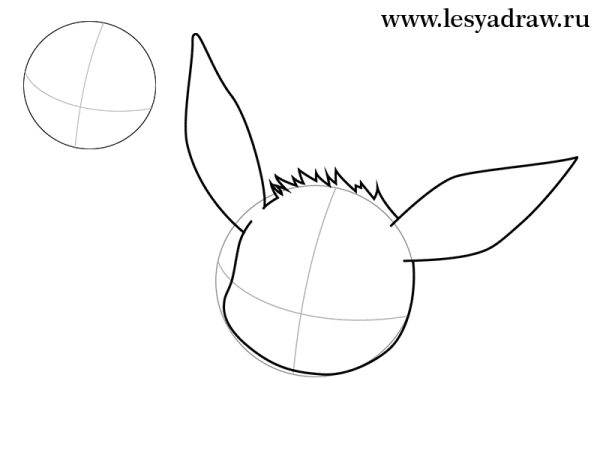 Как нарисовать иви по частям