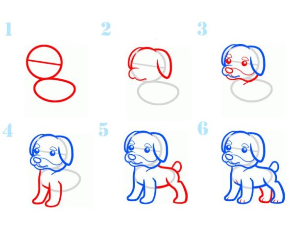 Как нарисовать ротвейлера поэтапно