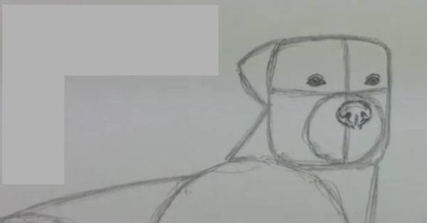 Ротвейлер нарисовать легко по этапам