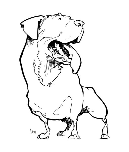 Ротвейлер карикатура