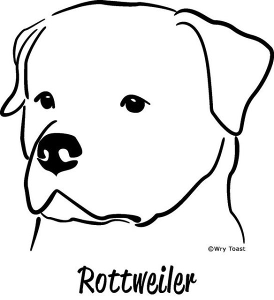 Ротвейлер рисунок легкий