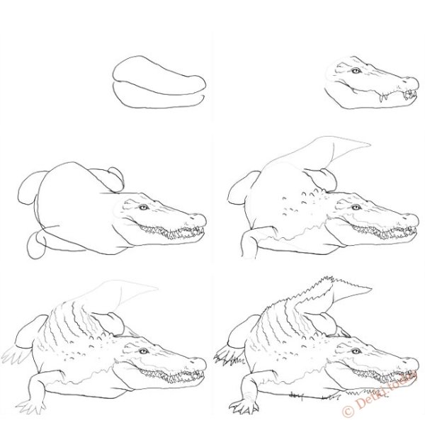 Схема изображения человека