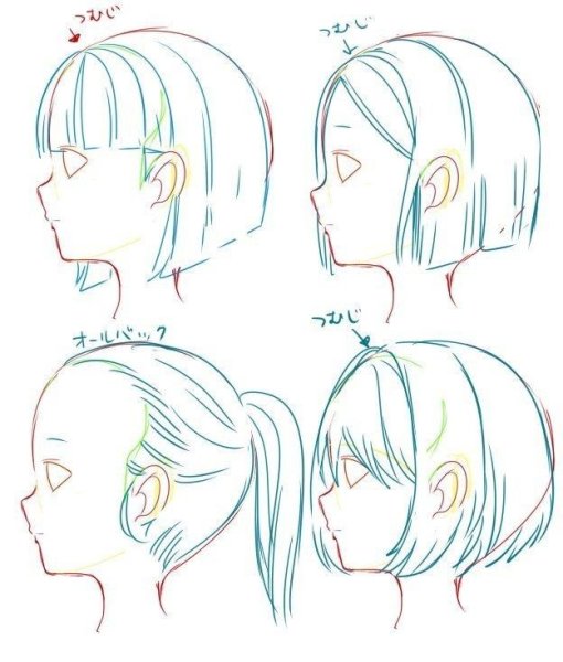 Поэтапное рисование собаки