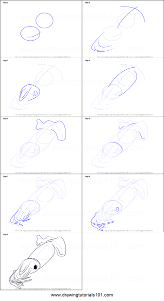 Кальмар рисунок пошагово