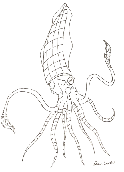 Распечатка кальмар