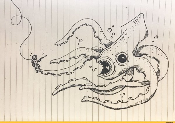 Кальмар арт рисунок