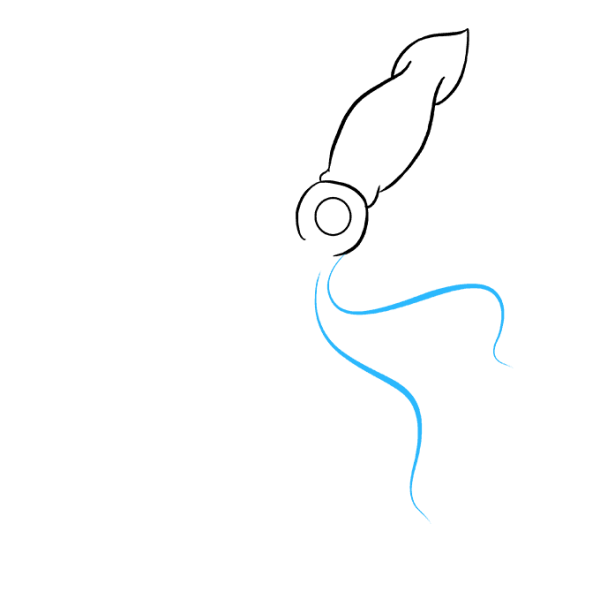 Поэтапное рисование кальмар