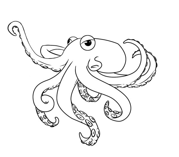 Кальмар раскраска