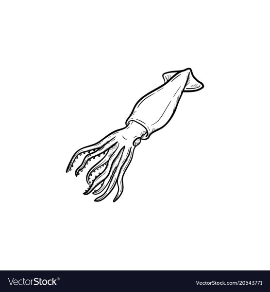 Кальмар контур вектор