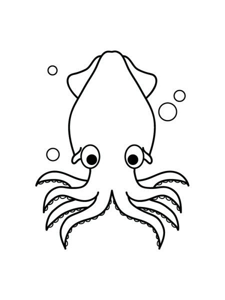 Кальмар раскраска