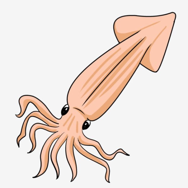 Мультяшные кальмары