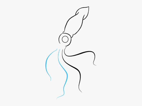 Нарисовать кальмара поэтапно