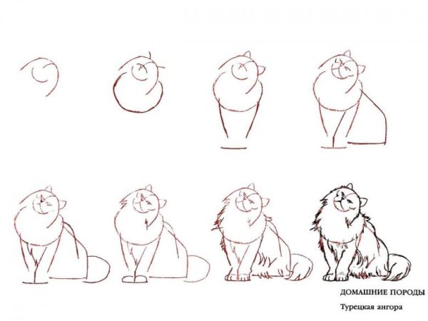 Кошка рисунок карандашом поэтапно для начинающих