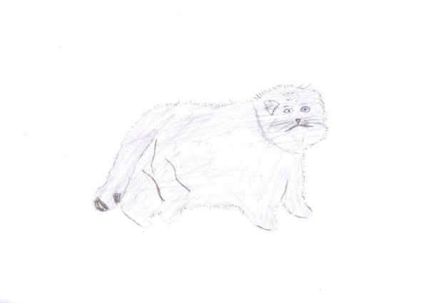 Манул рисунок