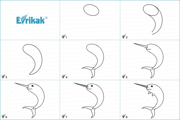 Нарвал схема