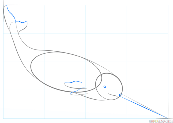 Нарвал рисунок карандашом поэтапно