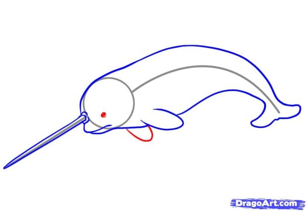 Нарвал нарисовать