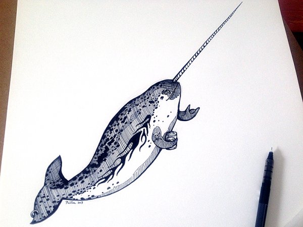 Нарвал картинка для детей