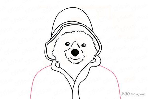 Паддингтон рисунок карандашом