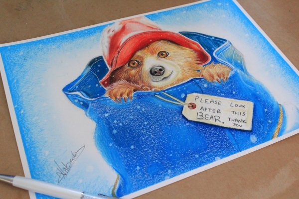 Паддингтон рисунок поэтапно