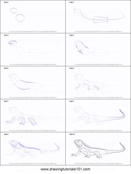 Игуана пошагово нарисовать