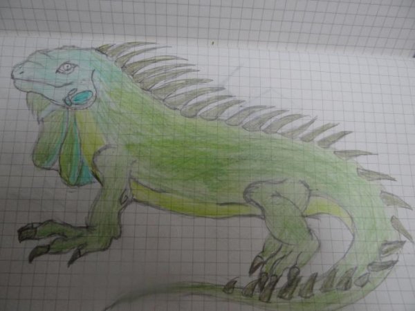 Игуана карандашом пошагово