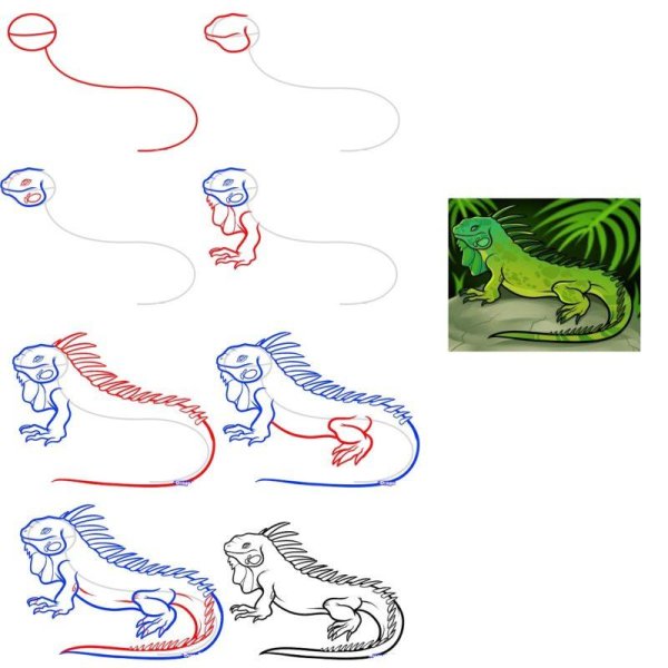 Игуана нарисовать