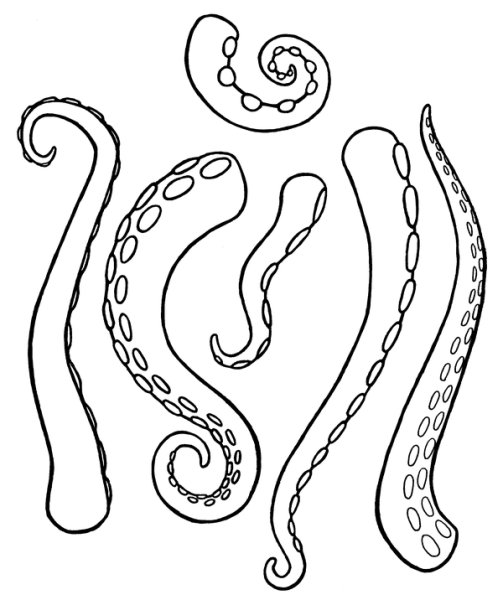 Щупальца референс