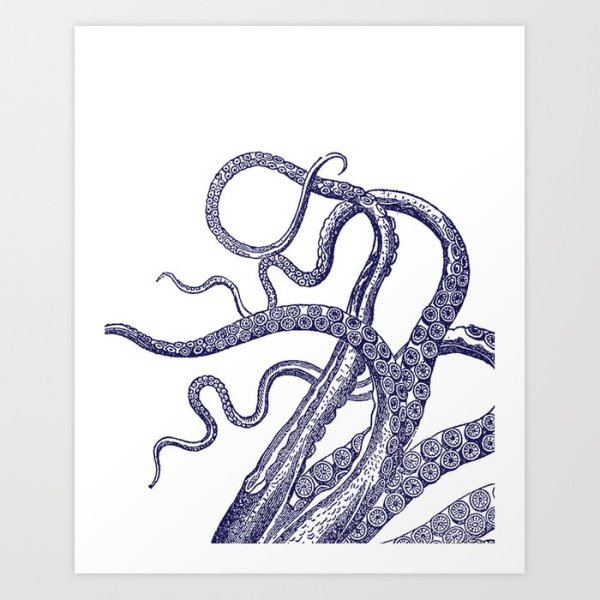 Щупальца рисунок легкий