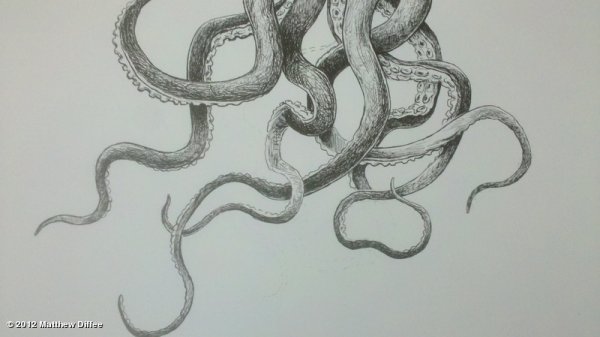 Туториалы щупальца