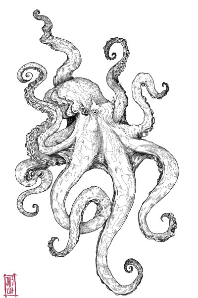 Осьминог Графика