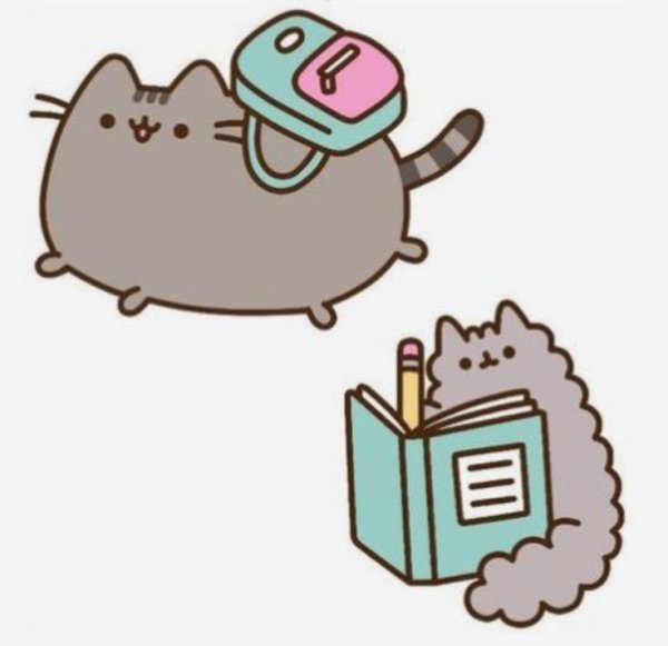 Пушин Кэт школа