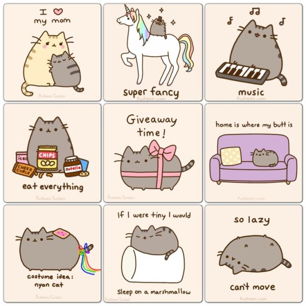 Кот Пушин смешной