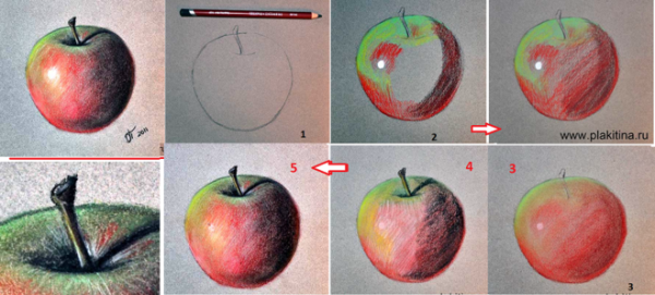 Поэтапное рисование яблока акварелью